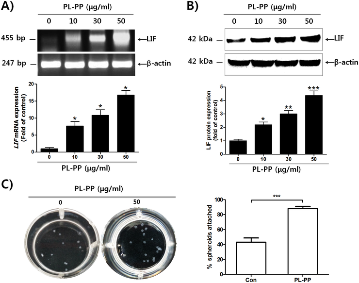 plos_jak2